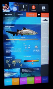 Interaktives_Display