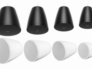 Bose DesignMax Pendant